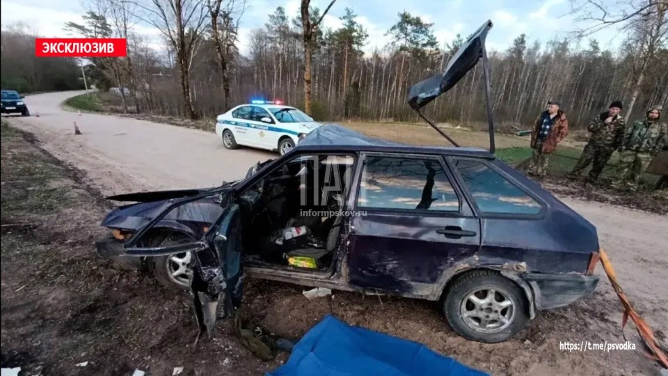 Пассажирка погибла после наезда автомобиля на дерево в Себежском районе