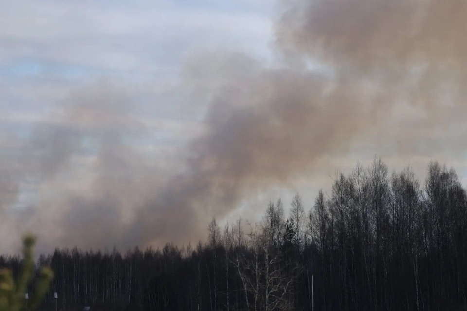 О смертельных последствиях палов травы напомнили жителям Псковской области