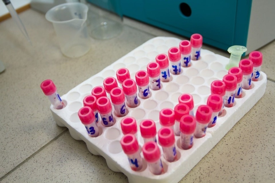 Акции к Национальному дню донора ежегодно организует «Единая Россия»