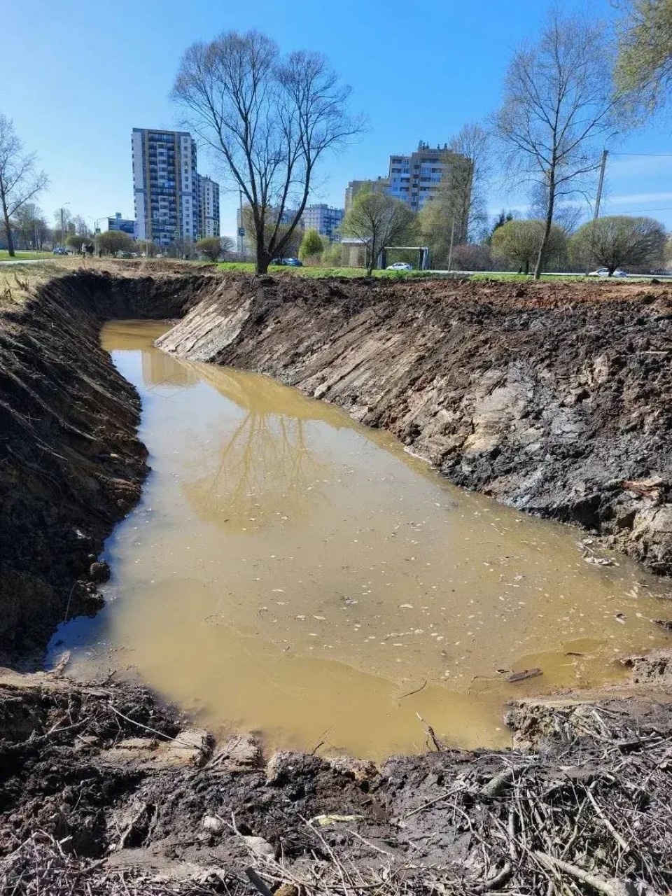 Сквер на пересечении улиц Чудской и Ижорского Батальона начали благоустраивать в Пскове