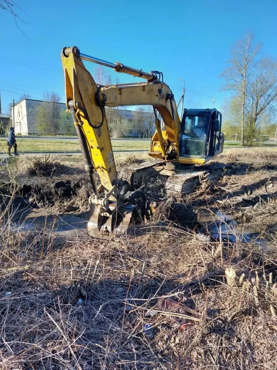 Сквер на пересечении улиц Чудской и Ижорского Батальона начали благоустраивать в Пскове