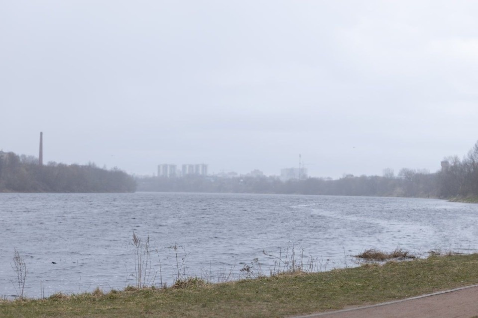 Более восьми тысяч жителей Псковской области остались без света из-за непогоды