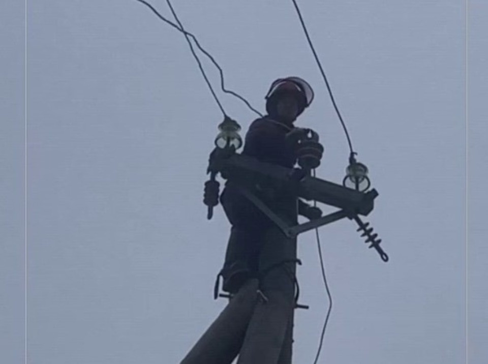 Энергетики восстановили основную сеть в Псковской области после шквалистого ветра