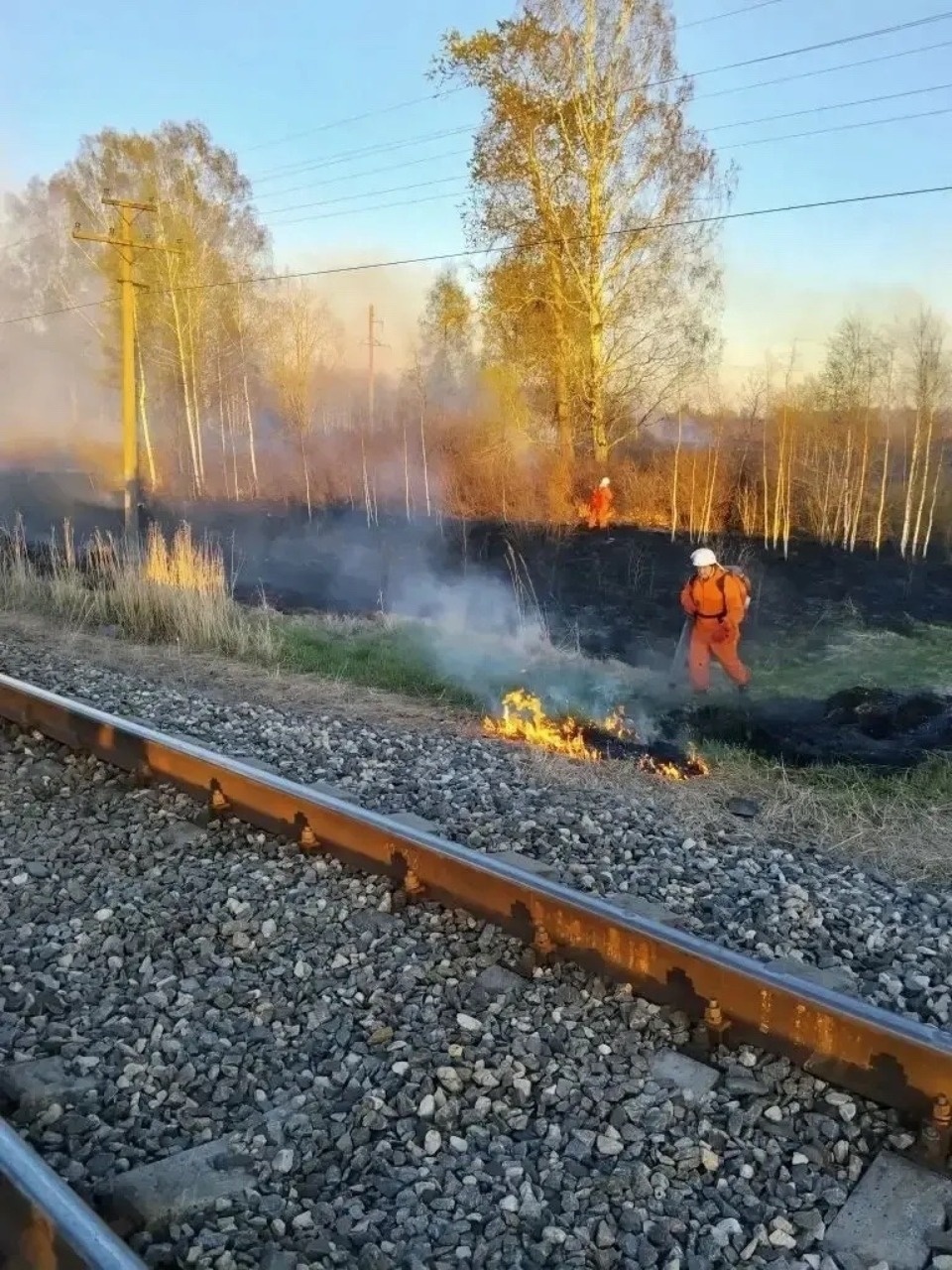 В Псковском районе ликвидировали крупный ландшафтный пожар В Псковском районе ликвидировали крупный ландшафтный пожар