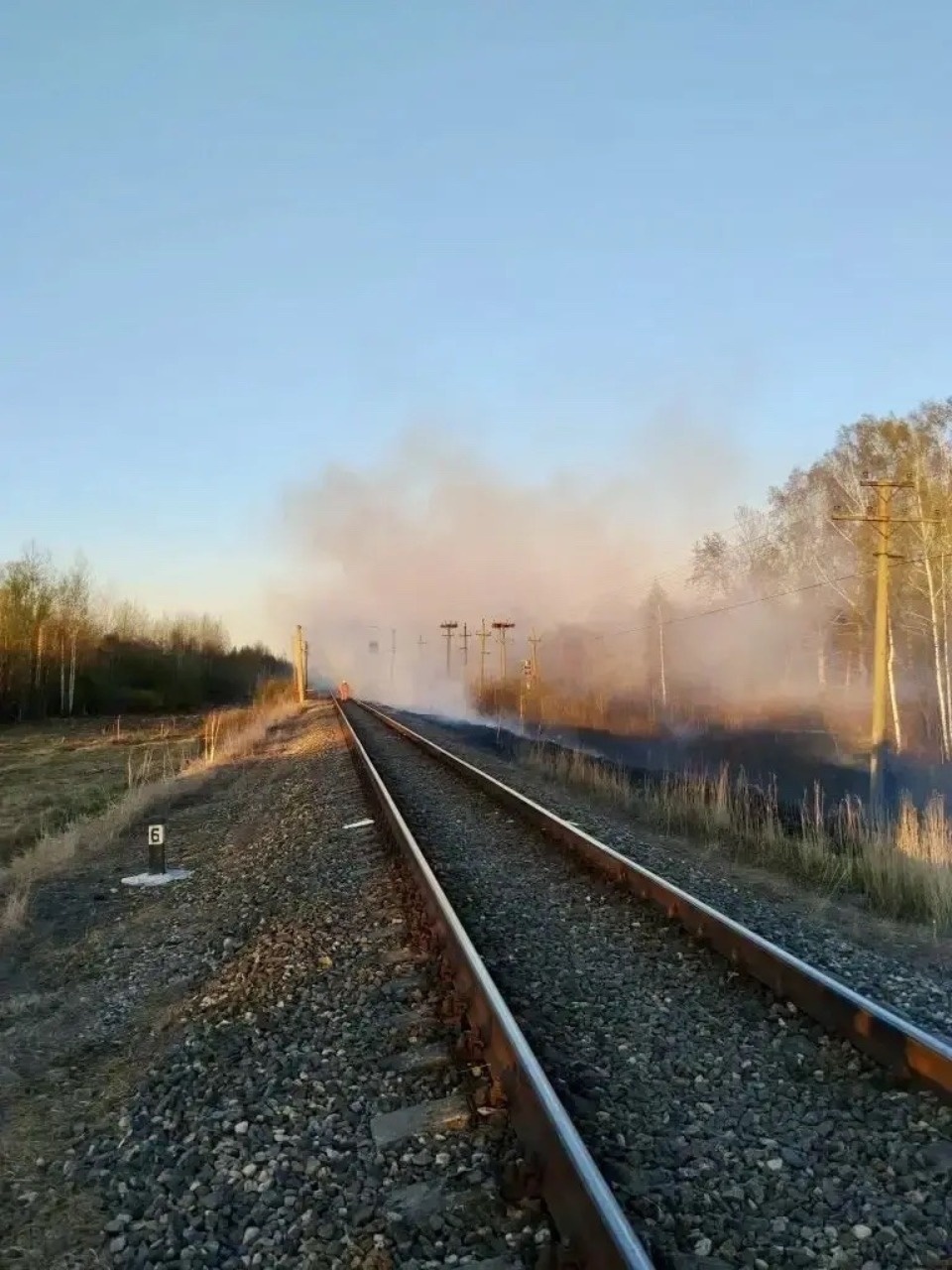 В Псковском районе ликвидировали крупный ландшафтный пожар В Псковском районе ликвидировали крупный ландшафтный пожар