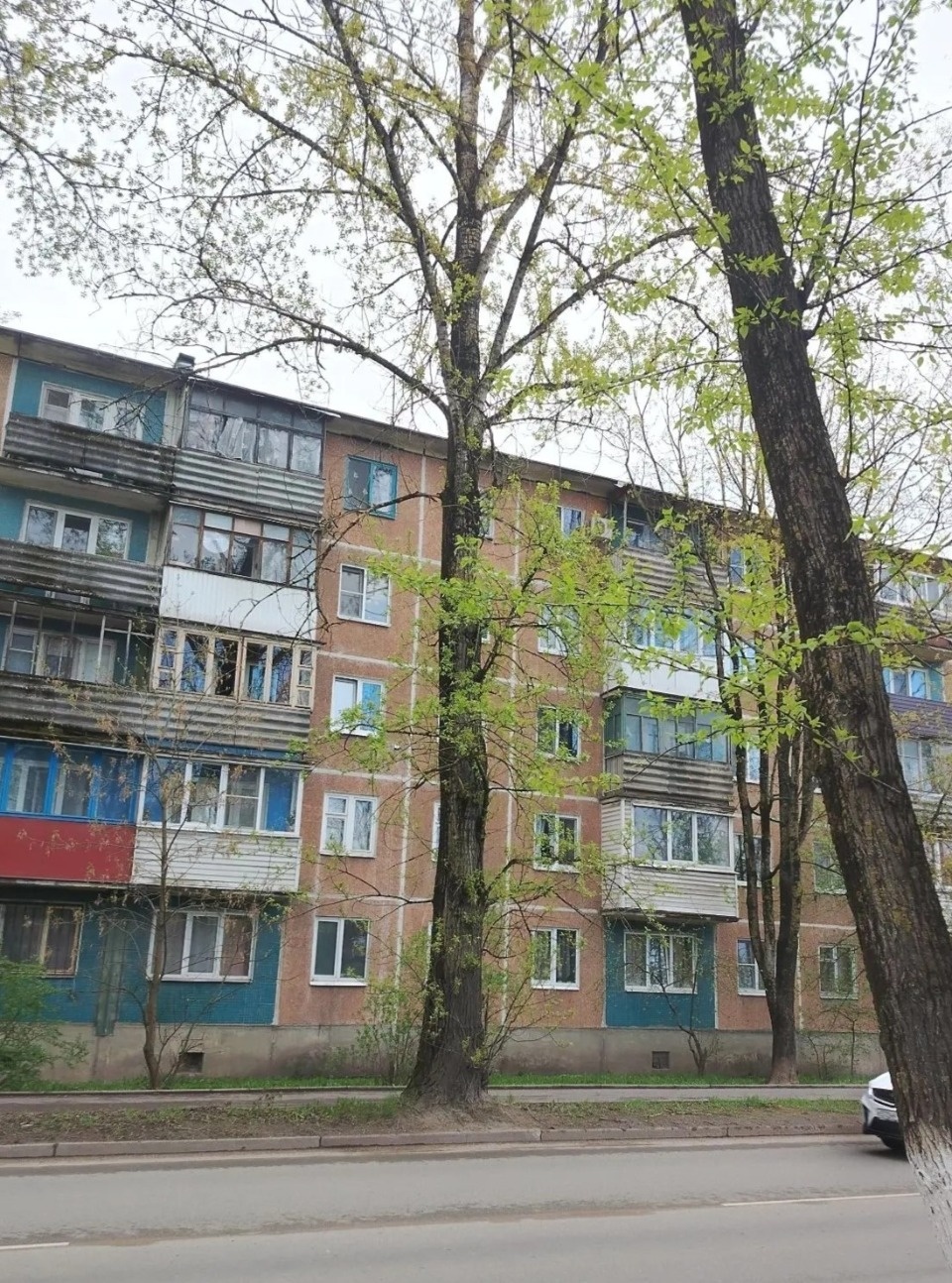 На улице Народной в Пскове спилят старые тополя На улице Народной в Пскове спилят старые тополя