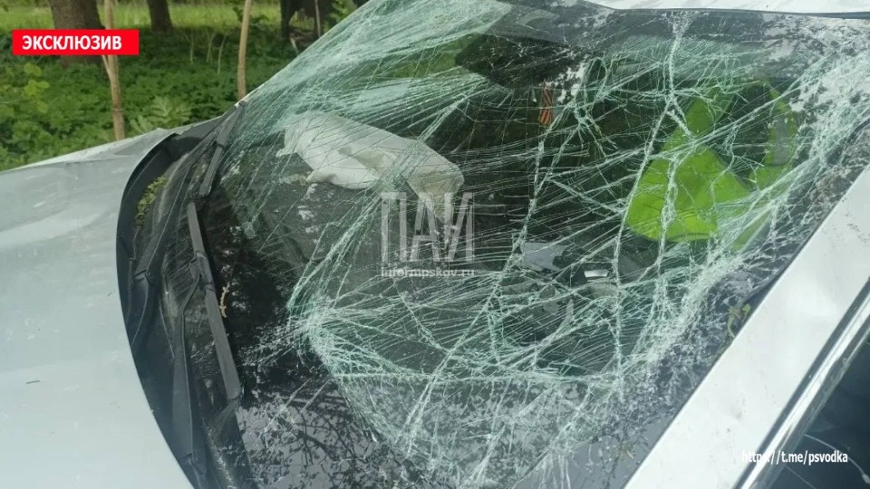 20 человек пострадали в результате ДТП в Псковской области за неделю 20 человек пострадали в результате ДТП в Псковской области за неделю