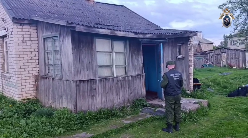 В Дедовичах мужчина подозревается в убийстве своего отца
