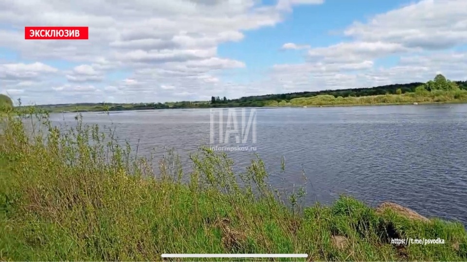 Тело мужчины обнаружили в реке Великой в районе пляжа в Псковском районе