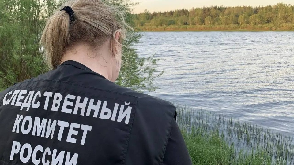 Две восьмилетние девочки утонули в реке Великой в ​​Палкинском районе 