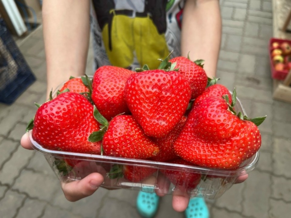 Время клубники