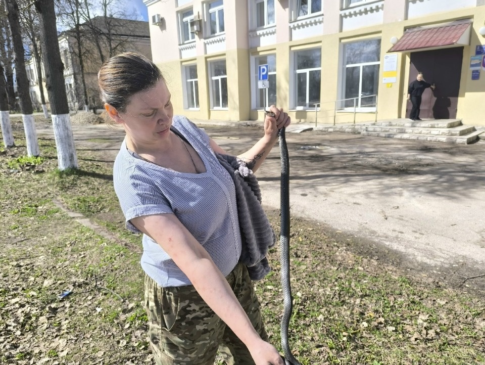 СовПадение