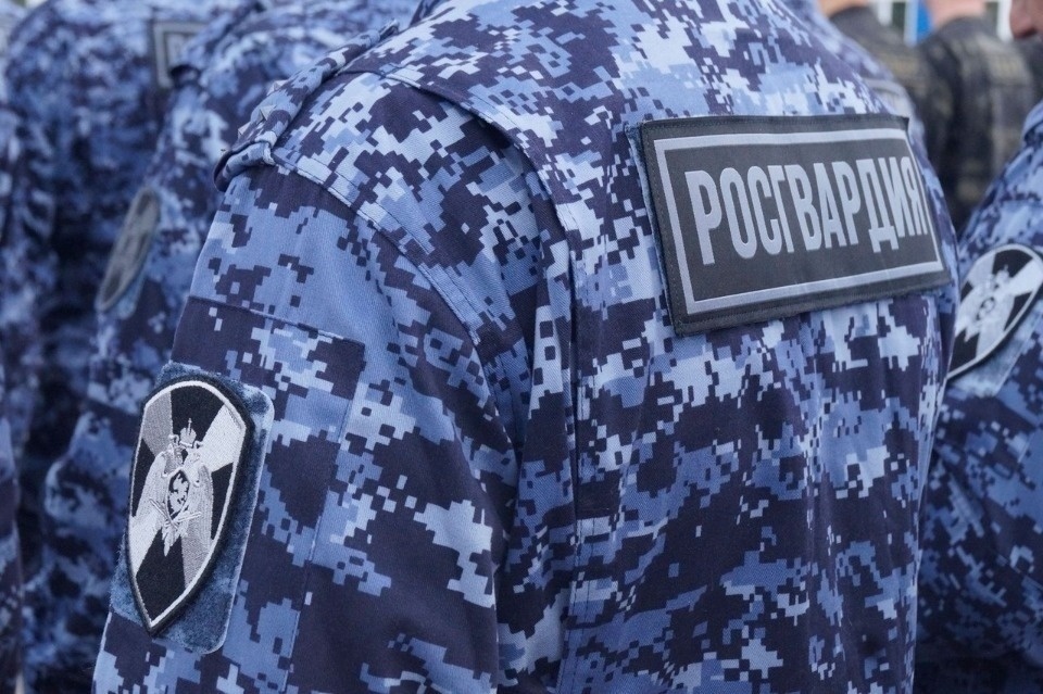 12 единиц оружия изъяли росгвардейцы в Псковской области за неделю 12 единиц оружия изъяли росгвардейцы в Псковской области за неделю