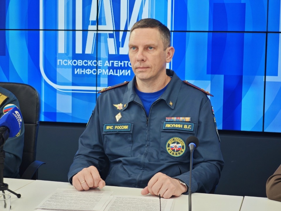 МЧС: Лидером по количеству пожаров является север Псковской области
