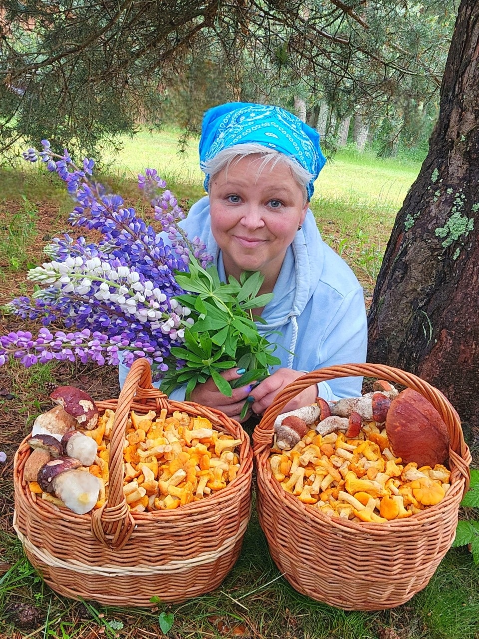 Лес Анны