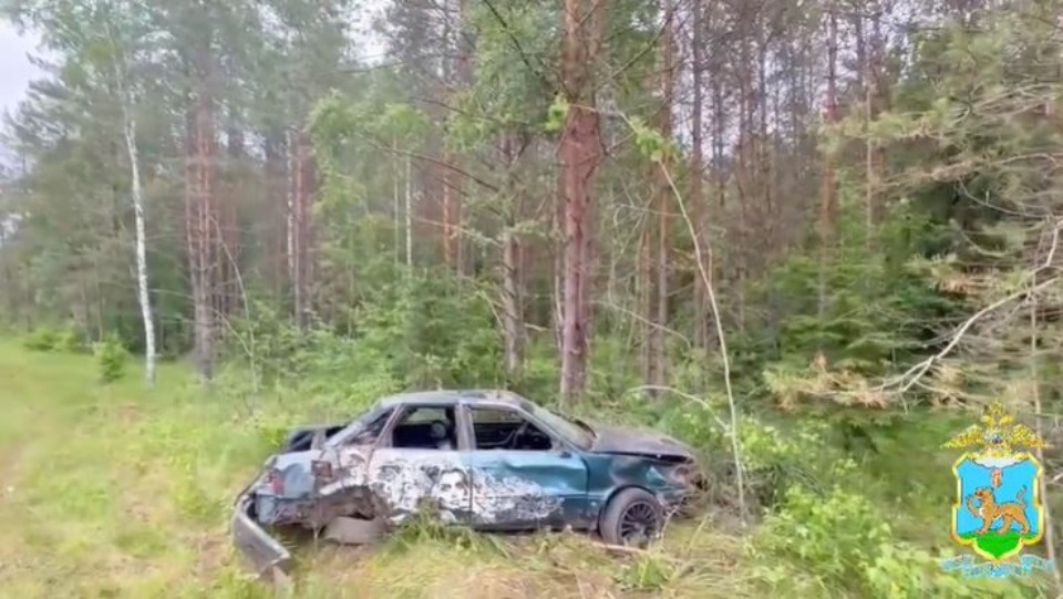 Два человека и собака погибли в ДТП в Пустошкинском районе Два человека и собака погибли в ДТП в Пустошкинском районе
