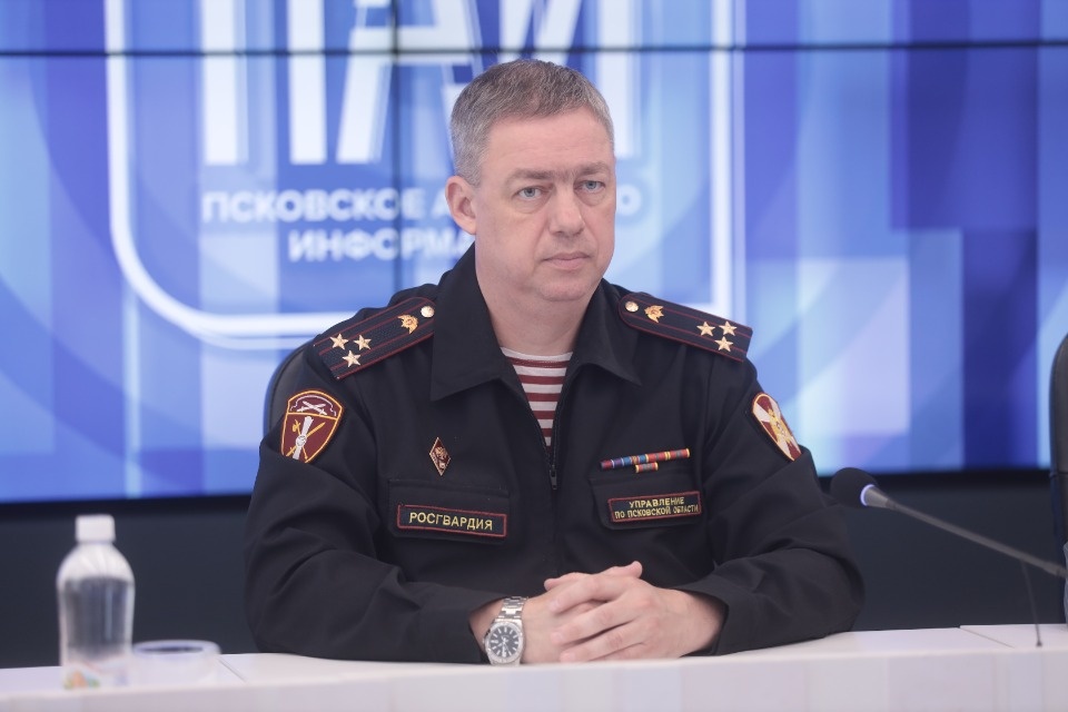 Псковичам рассказали, как передать свое оружие на СВО