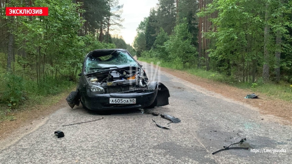 Пьяный водитель погиб в Печорском районе Пьяный водитель погиб в Печорском районе