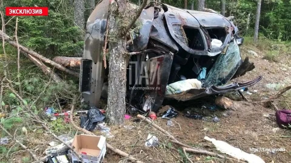 В Плюсском районе опрокинулась и врезалась в дерево машина — есть погибший В Плюсском районе опрокинулась и врезалась в дерево машина — есть погибший