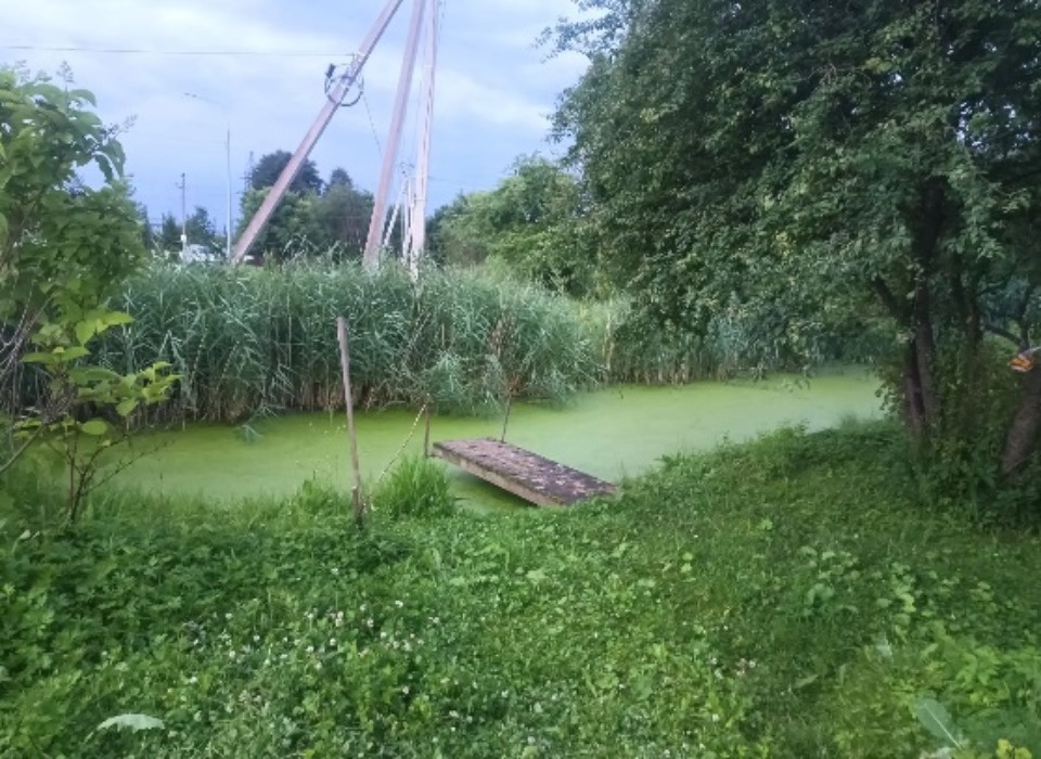 В пруду в Бежаницах утонул полуторагодовалый ребенок В пруду в Бежаницах утонул полуторагодовалый ребенок