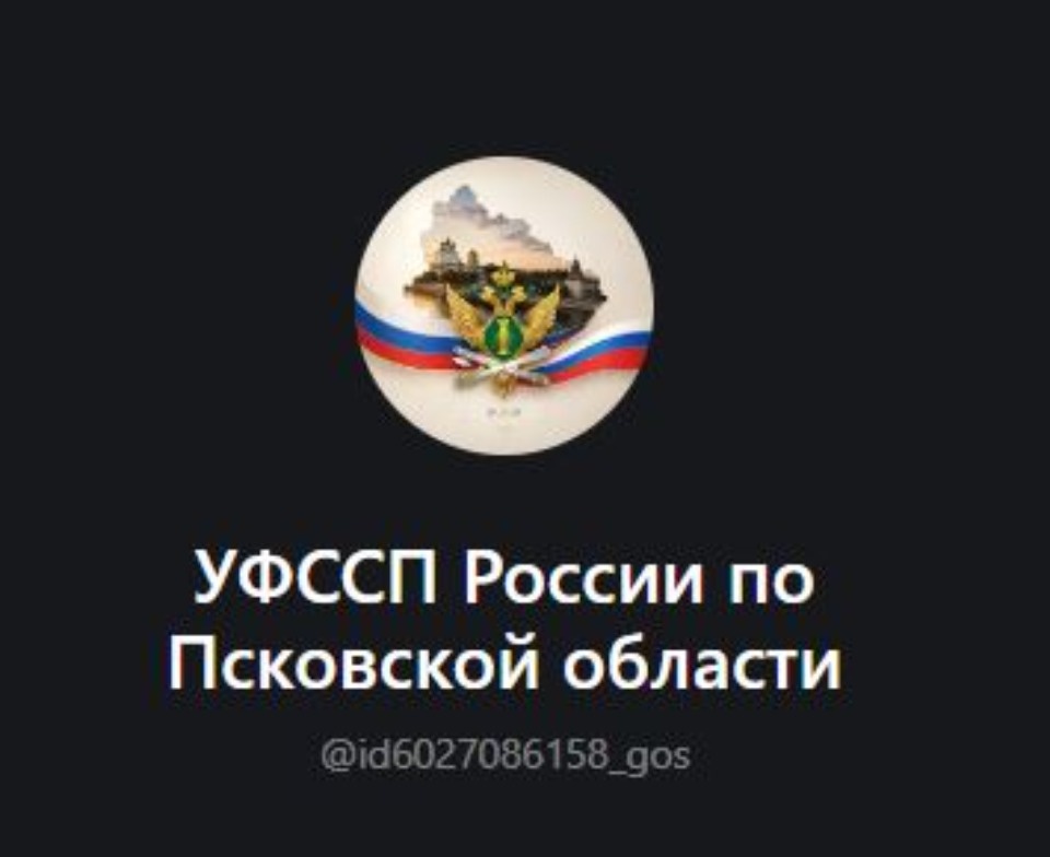 Псковские приставы создали канал в мессенджере MAX