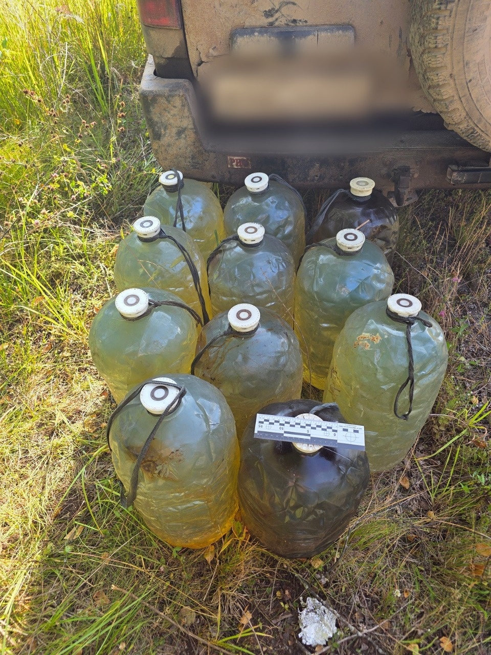 В Псковской области мужчина попался на краже 346 кг дизтоплива из локомотива