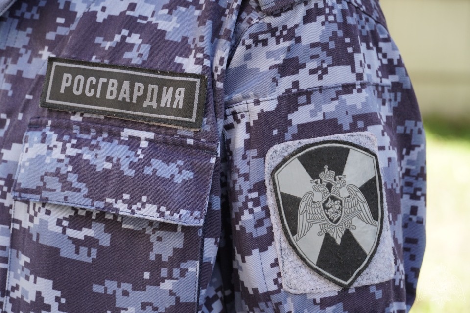 31 единицу оружия изъяли у граждан псковские росгвардейцы за неделю