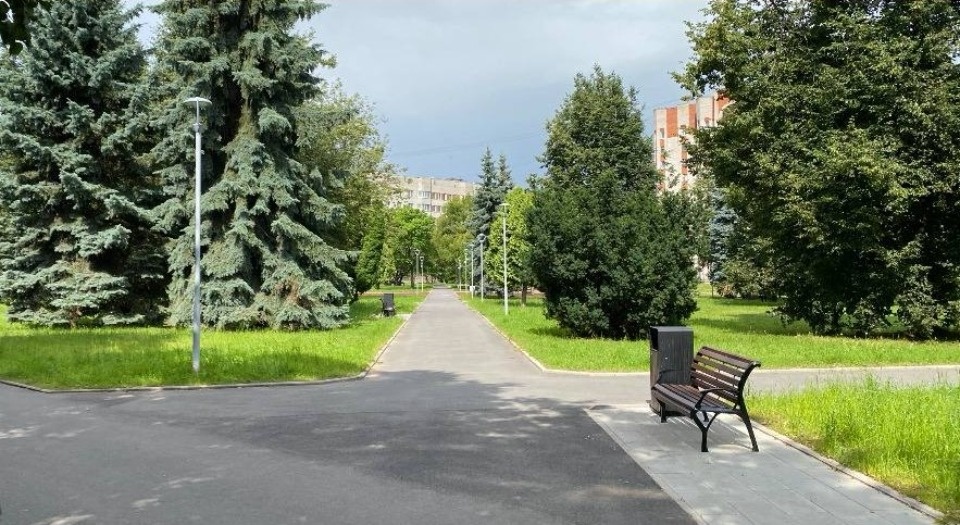 Глава Пскова остановил вырубку деревьев в сквере у Рижской гостиницы Глава Пскова остановил вырубку деревьев в сквере у Рижской гостиницы
