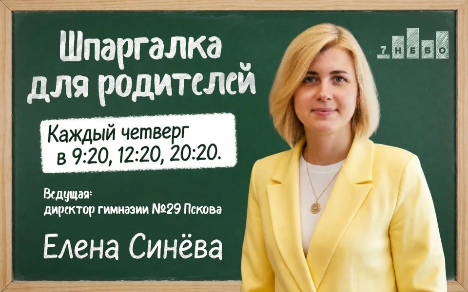 В «Шпаргалке для родителей» Елены Синевой расскажут о грантовых проектах и их помощи в развитии дошкольников