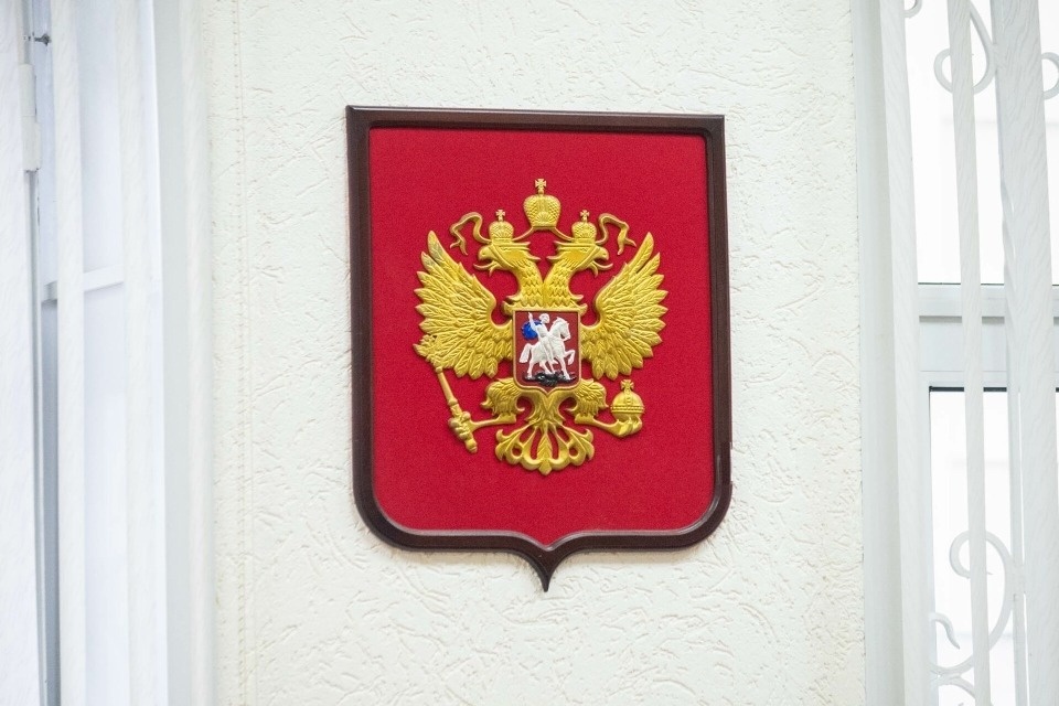 За незаконную рубку леса в Печорском районе мужчина заплатит 35 млн рублей