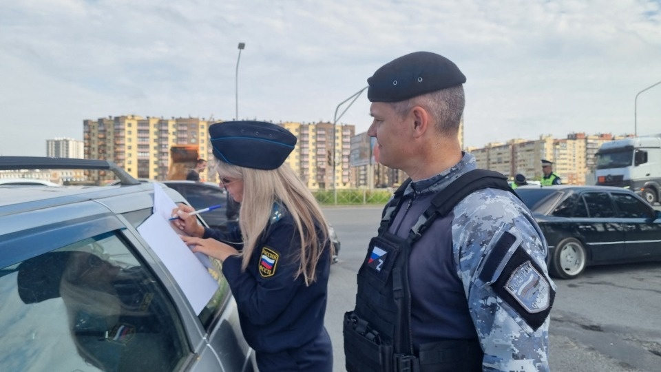 Автоледи из Псковской области заплатила 77 тысяч рублей за 32 штрафа