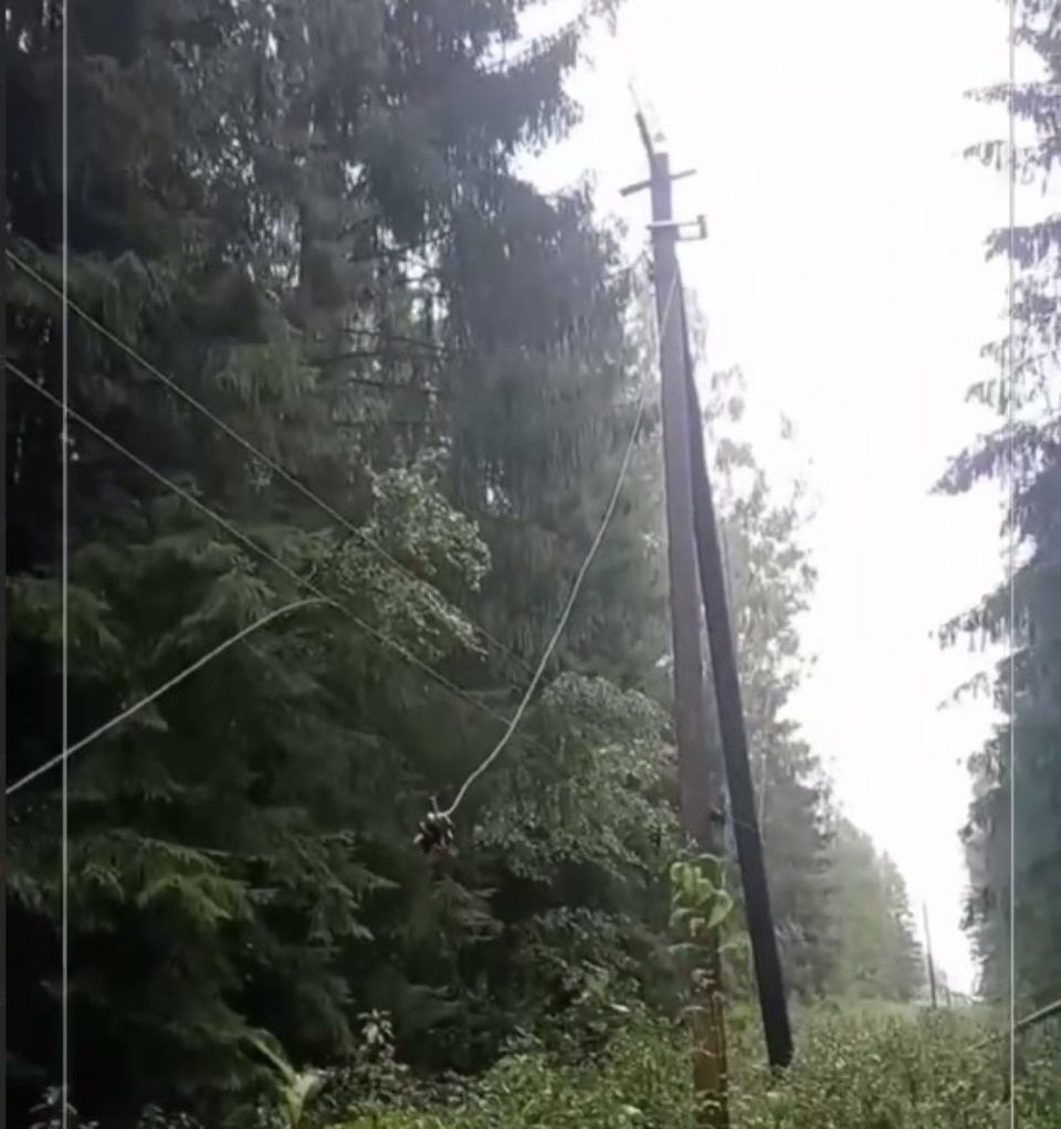 Половину обесточенных потребителей в Псковской области уже подключили к электричеству Половину обесточенных потребителей в Псковской области уже подключили к электричеству