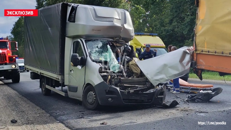 Водитель Opel оказался зажат в автомобиле после ДТП в Опочецком районе