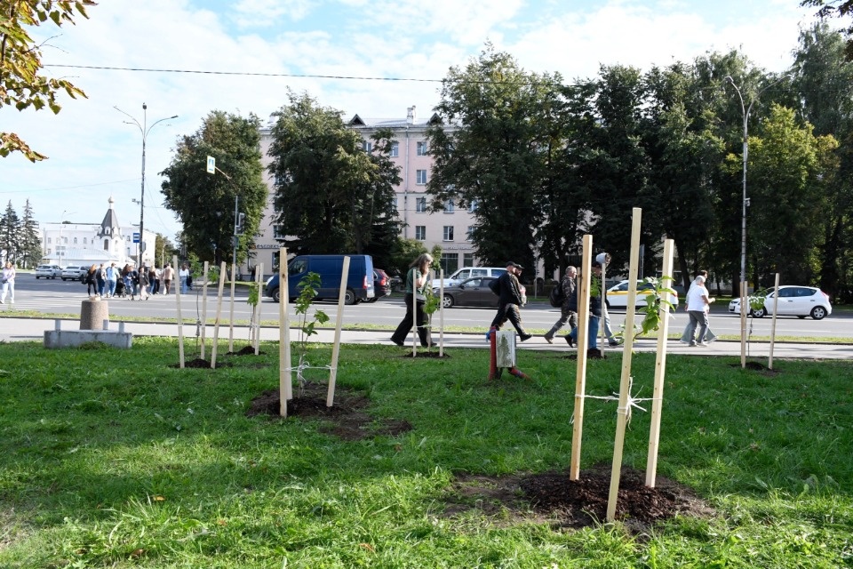 У библиотеки в центре Пскова высадили десять кустов сирени