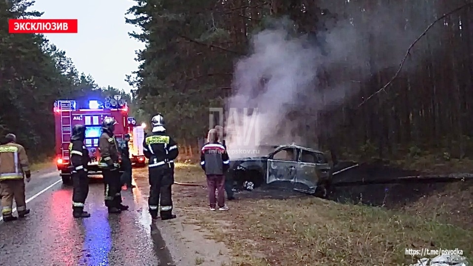 В Псковском районе иномарка сгорела после съезда в кювет В Псковском районе иномарка сгорела после съезда в кювет