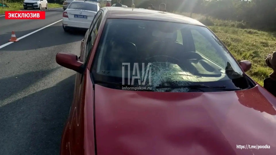 Перебегавшую дорогу девушку госпитализировали после наезда автомобиля в Порховском районе Перебегавшую дорогу девушку госпитализировали после наезда автомобиля в Порховском районе