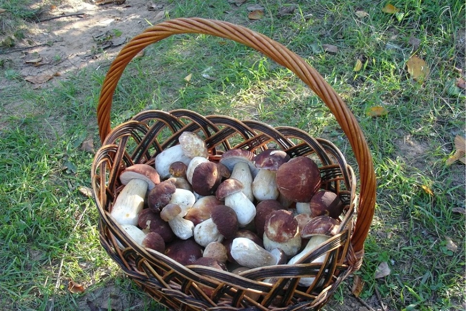 Дело в шляпке