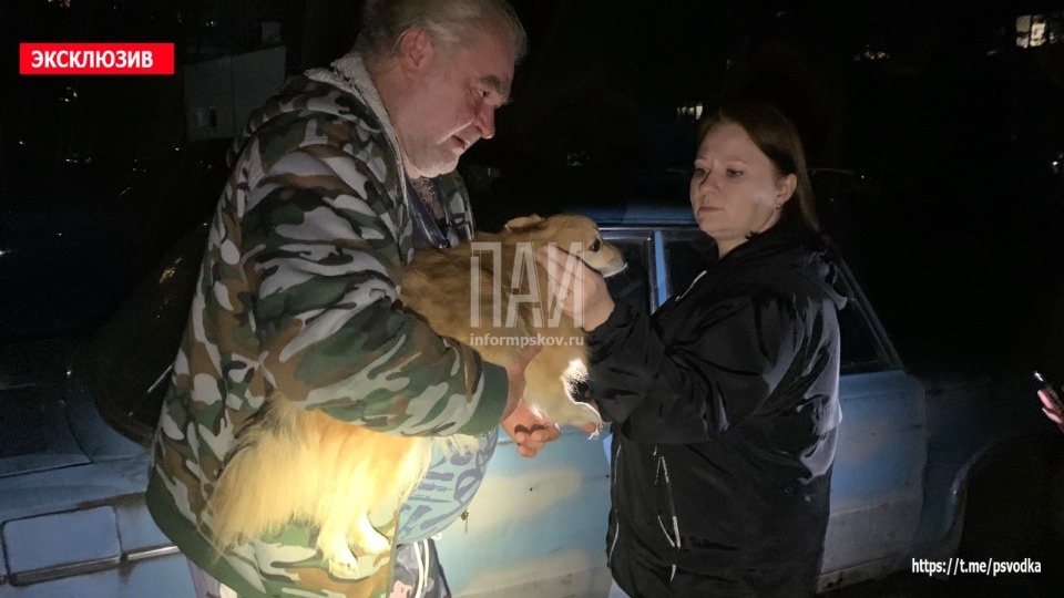 Водителя госпитализировали в результате ДТП в Пскове