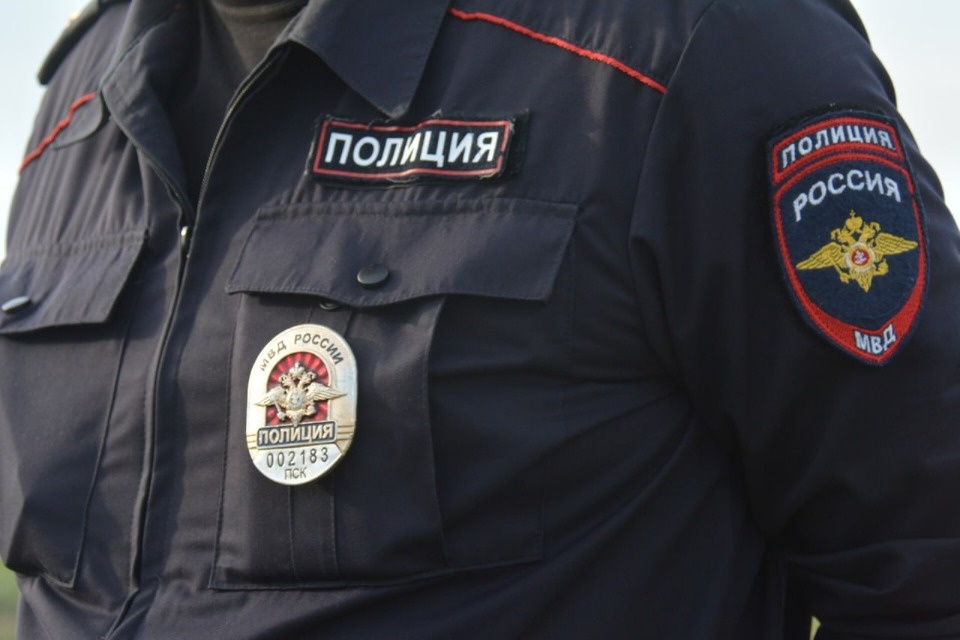 В Псковской области возбудили уголовное дело после гибели лося В Псковской области возбудили уголовное дело после гибели лося