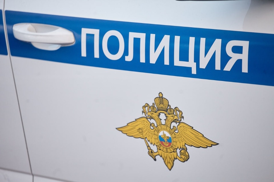 Двоих жителей Псковской области оштрафовали за неповиновение полиции Двоих жителей Псковской области оштрафовали за неповиновение полиции