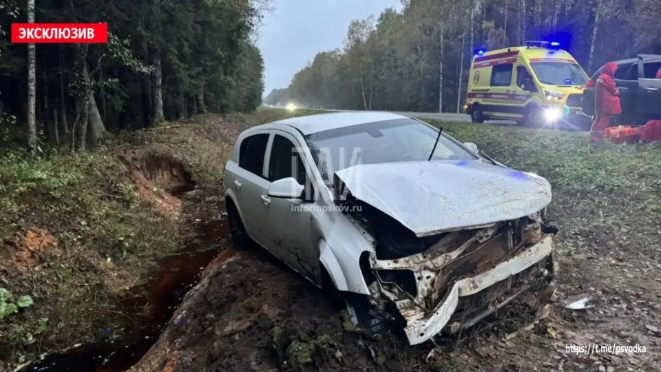 Водитель Opel съехала в кювет, чтобы не сбить лису Водитель Opel съехала в кювет, чтобы не сбить лису