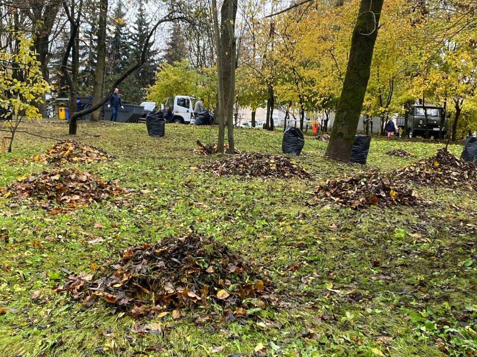 Под листьями прячется инфекция: что важно знать при уборке 