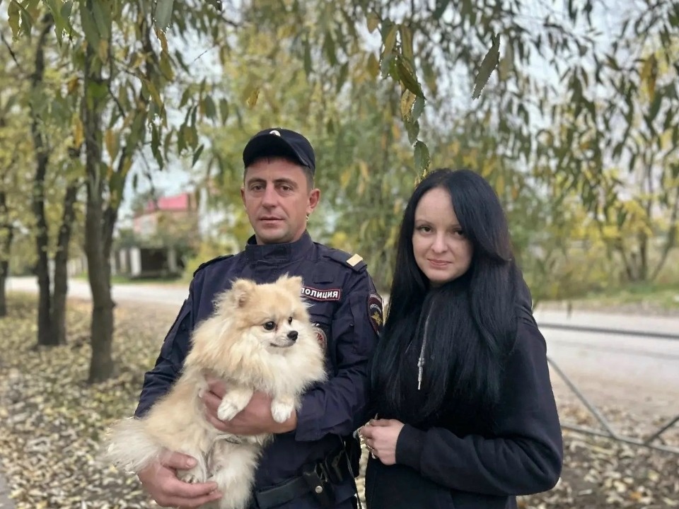 Великолукский полицейский спас шпица от напавшей на него овчарки