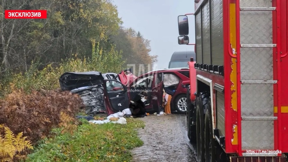 Двое взрослых и собака погибли в результате ДТП в Невельском районе Двое взрослых и собака погибли в результате ДТП в Невельском районе