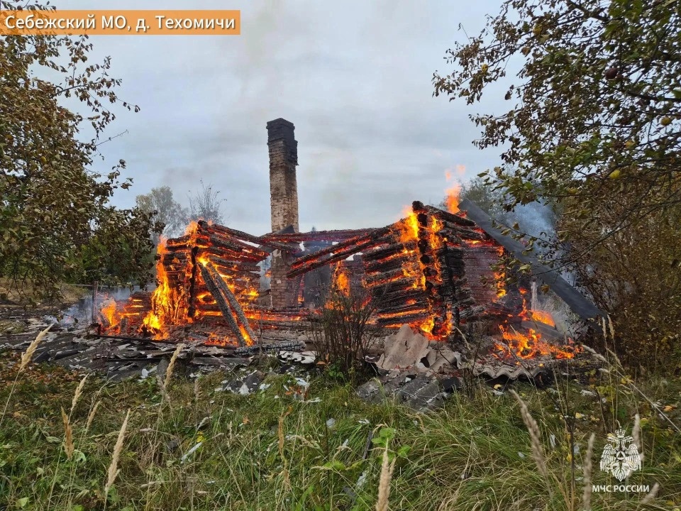 Два пожара в Псковской области произошли из-за неосторожного огня