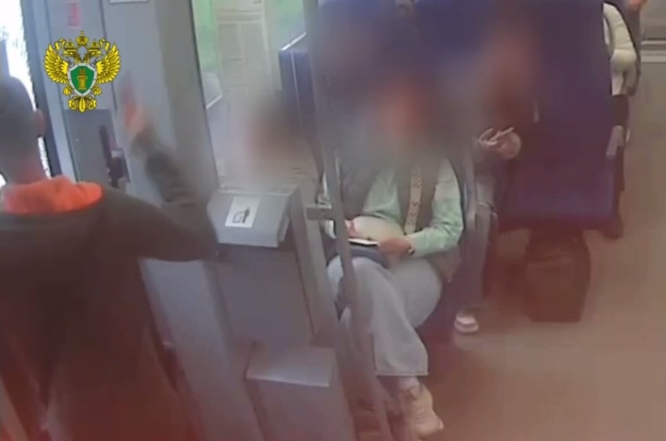 Житель Псковской области пойдёт под суд за разбитую дверь электрички
