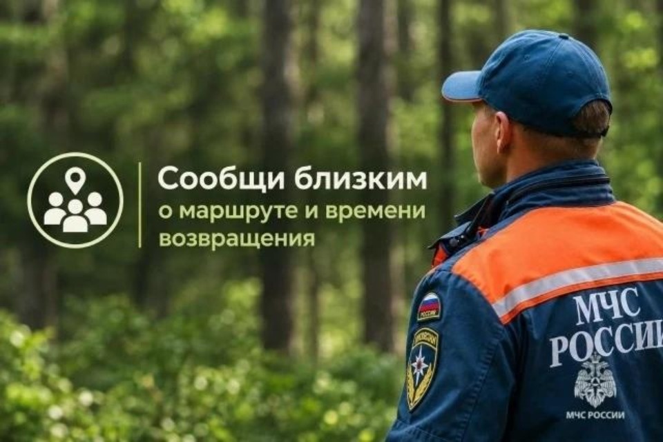 Более 30 грибников потерялись в лесах Псковской области с начала года