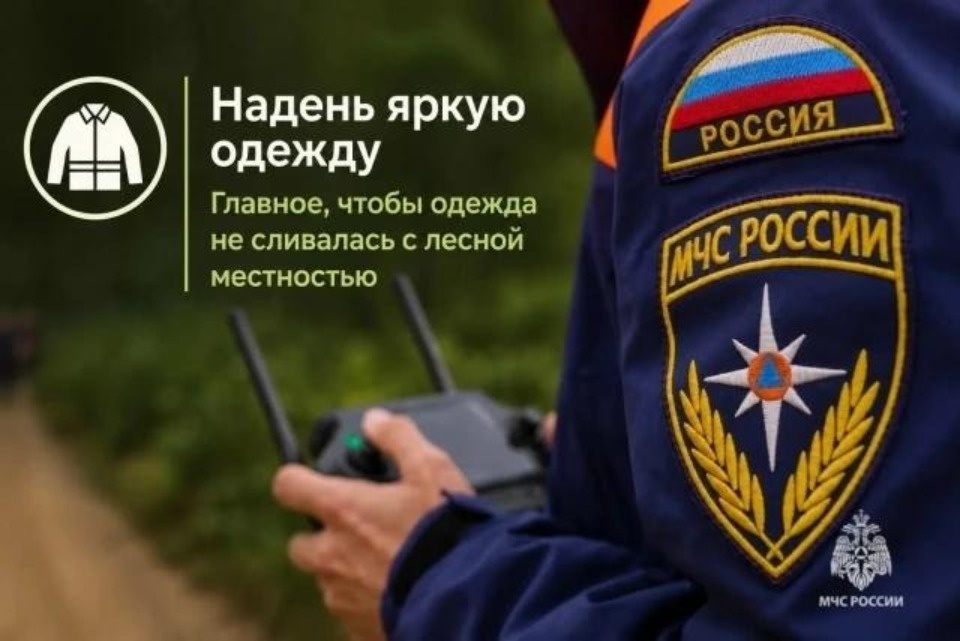 Более 30 грибников потерялись в лесах Псковской области с начала года