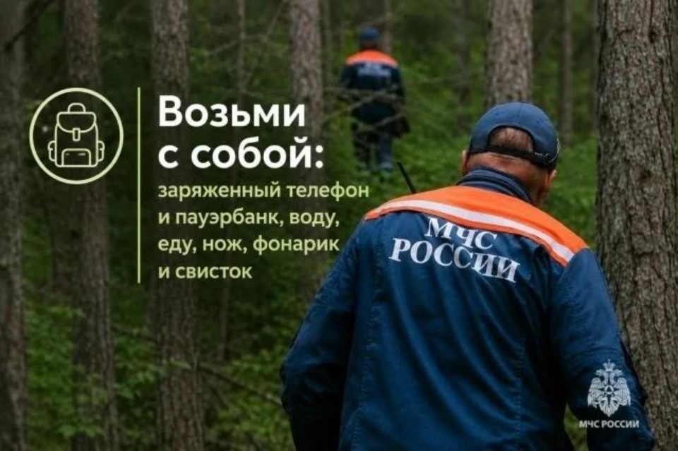 Более 30 грибников потерялись в лесах Псковской области с начала года