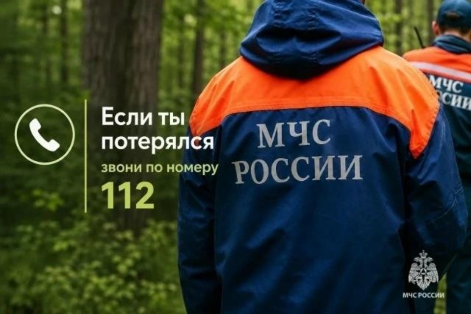 Более 30 грибников потерялись в лесах Псковской области с начала года